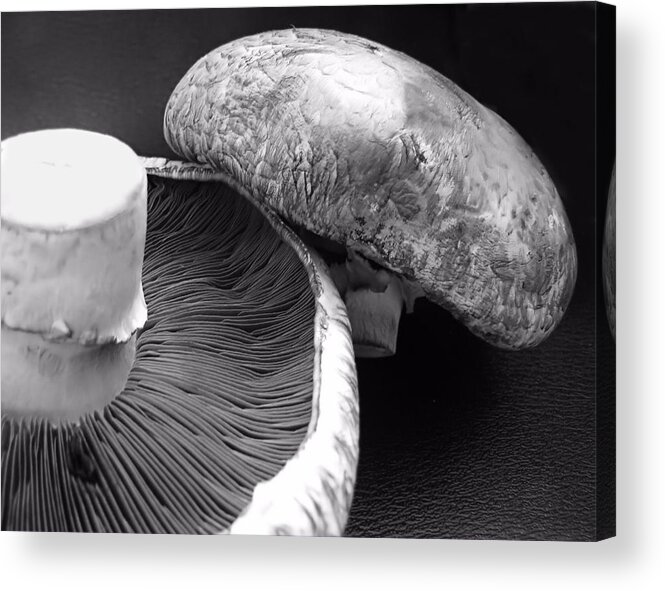 Black And White Acrylic Print featuring the photograph Mushrooms in Black and White by KATIE Vigil