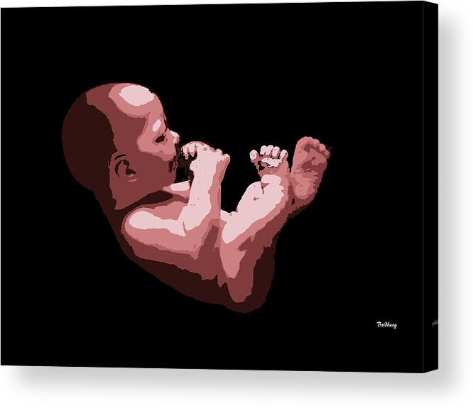 Unborn Baby Acrylic Print featuring the digital art Music Notes 20 by David Bridburg