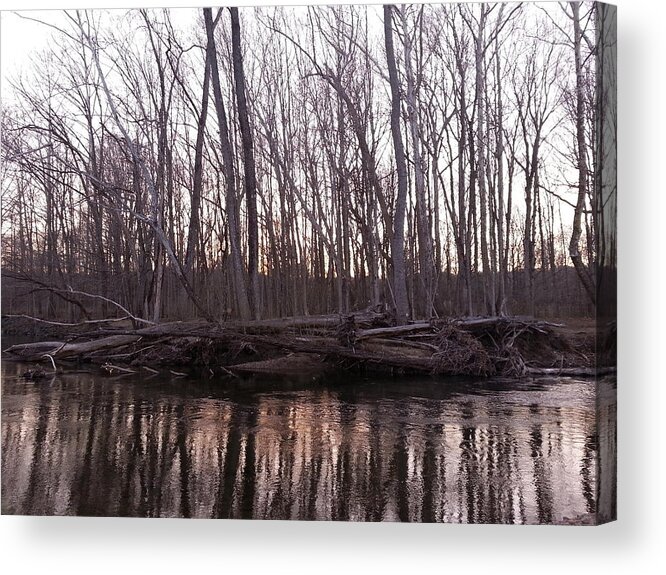 Landscape Acrylic Print featuring the photograph Naked by Dani McEvoy