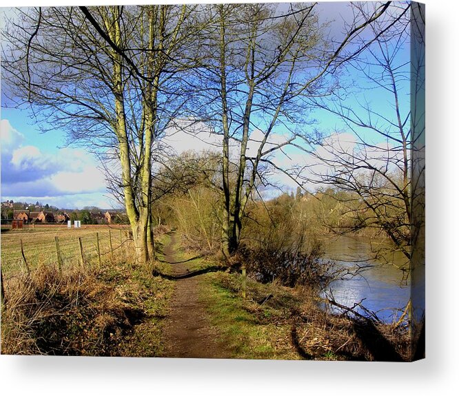 Countryside Acrylic Print featuring the photograph Narrow Path by Roberto Alamino