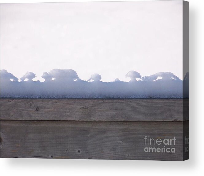 Snow Acrylic Print featuring the photograph Nature's Tiny Snowscape by Jackie Mueller-Jones