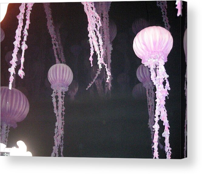 Pink Acrylic Print featuring the photograph Night of the Jellies by B A Bunting 