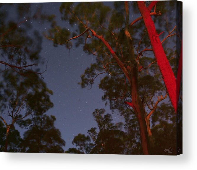 Landscape Acrylic Print featuring the photograph Night Time In The Bush by Michael Blaine