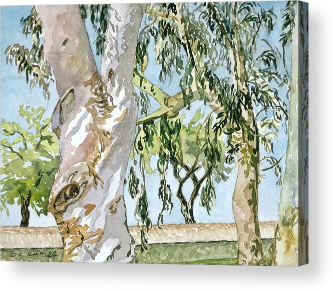 Eucalyptus Acrylic Print featuring the painting Northern Avenue Eucalyptus by Gurukirn Khalsa
