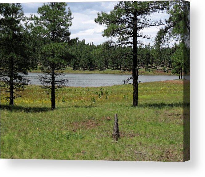 Lake Acrylic Print featuring the photograph Northland Arizona by Laurel Powell