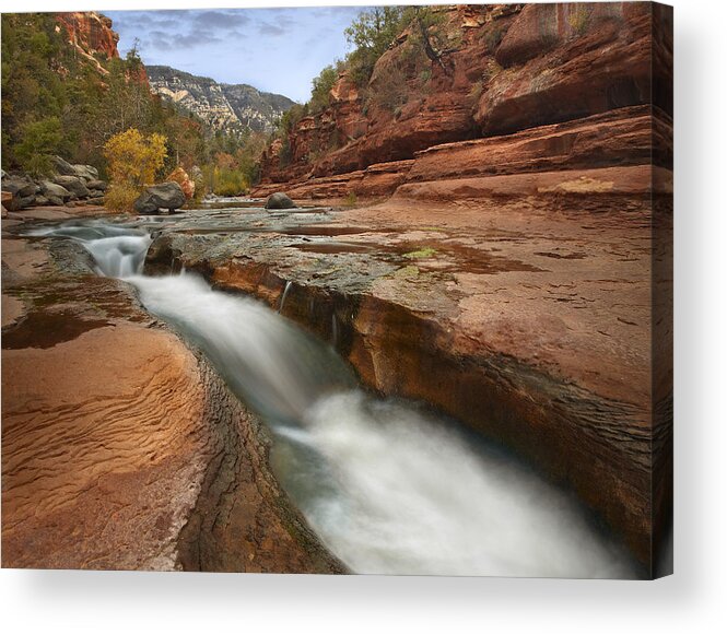 00438935 Acrylic Print featuring the photograph Oak Creek In Slide Rock State Park by Tim Fitzharris