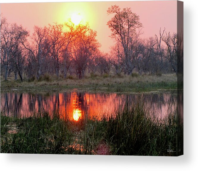 Landscape Acrylic Print featuring the photograph Okavango Delta by David Bader