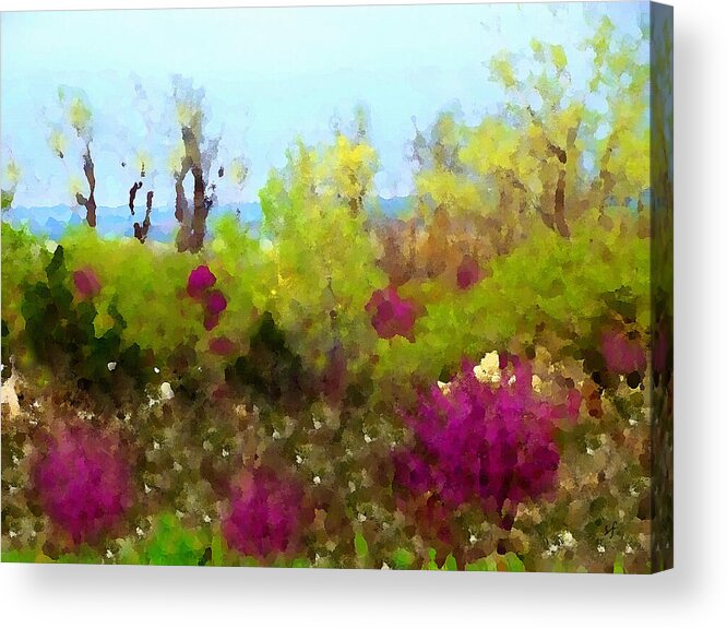 Impressionist Acrylic Print featuring the digital art Oklahoma Spring Colors by Shelli Fitzpatrick