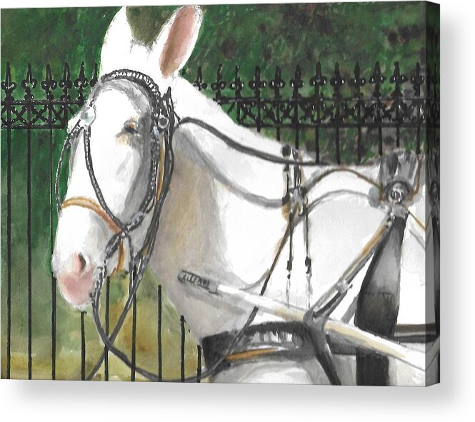  Acrylic Print featuring the painting Ol' White Mule by Bobby Walters
