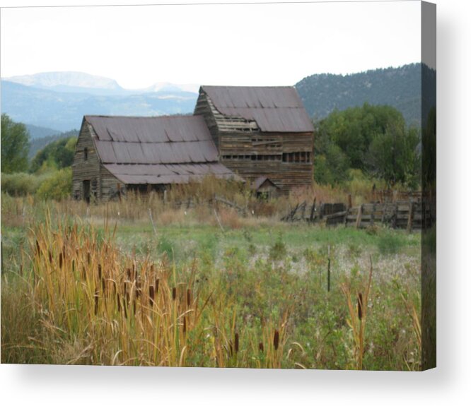 New Mexico Acrylic Print featuring the photograph Old Farmhouse by Ron Monsour