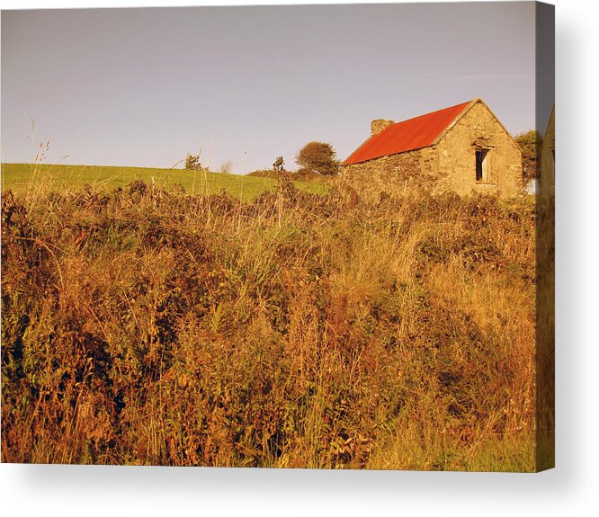 Ireland Acrylic Print featuring the photograph Old Irish Shed by John Quinn