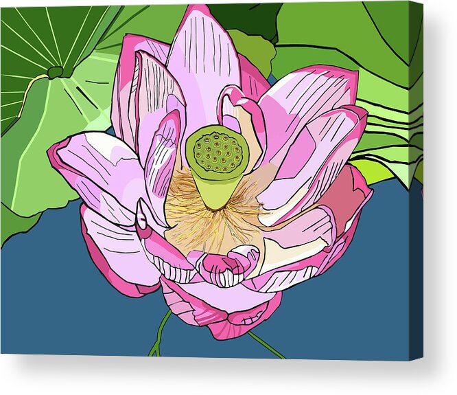 Lotus Acrylic Print featuring the painting Open Lotus by Jamie Downs