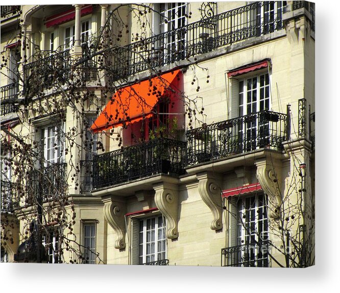 Paris Acrylic Print featuring the photograph Orange Canopy by Jennefer Chaudhry
