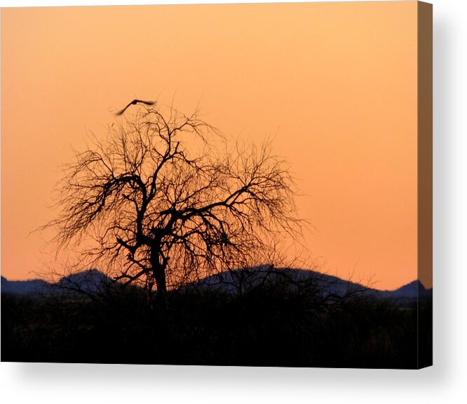 Sunset Acrylic Print featuring the photograph Orange Glow Sunset in the Desert by Teresa Stallings