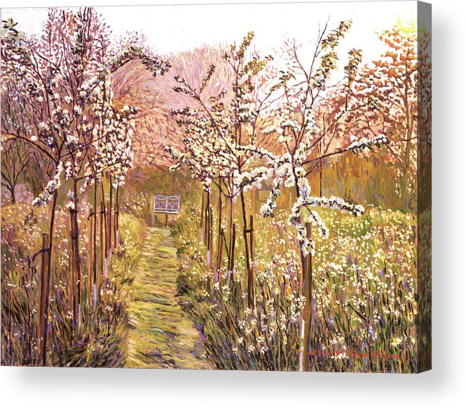 Orchards Acrylic Print featuring the painting Orchard Morning by David Lloyd Glover