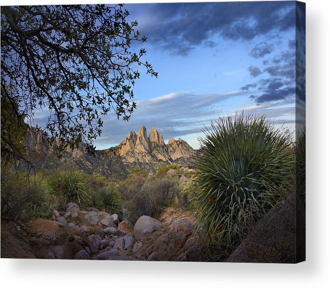 00438926 Acrylic Print featuring the photograph Organ Mountains Near Las Cruces New by Tim Fitzharris