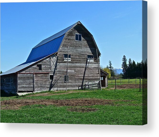 Barn Acrylic Print featuring the photograph Out Back by Diana Hatcher