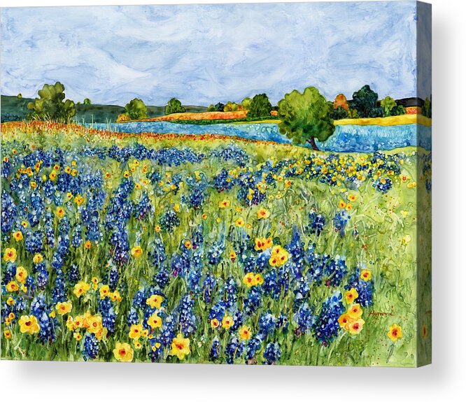 Bluebonnet Acrylic Print featuring the painting Painted Hills by Hailey E Herrera