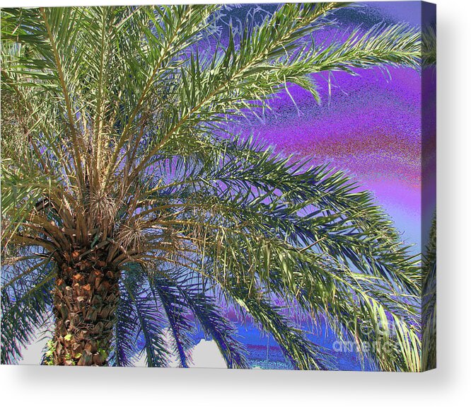 Palm Tree Acrylic Print featuring the photograph Palm 1001 by Corinne Carroll