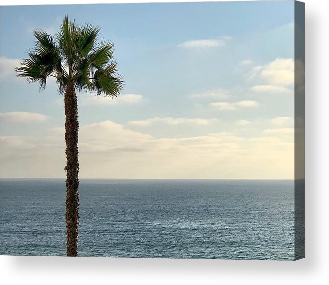 Palm Acrylic Print featuring the photograph Palm Over The Sea by Brian Eberly