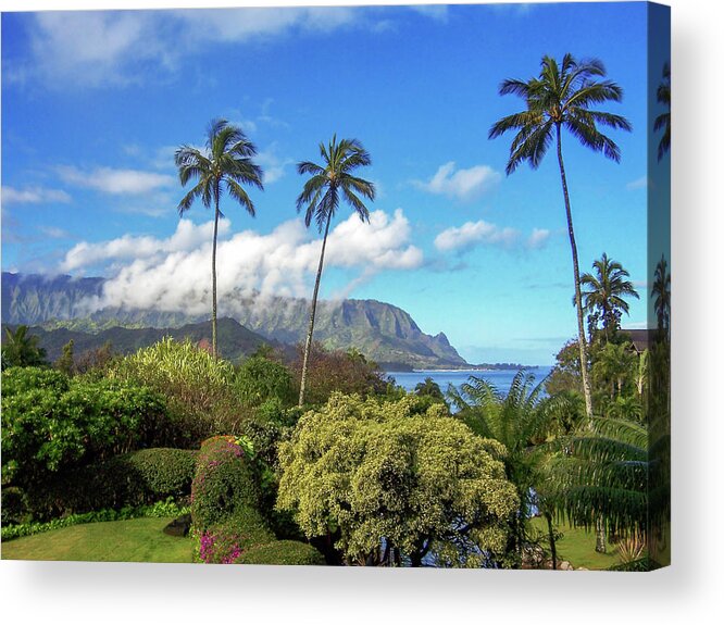 Landscape Acrylic Print featuring the photograph Palms at Hanalei by James Eddy
