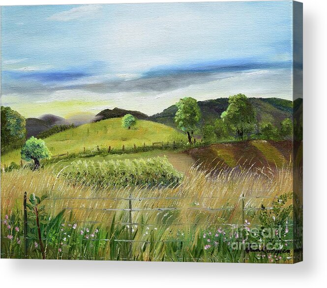 Chateau Meichtry Vineyard Acrylic Print featuring the painting Pasture Love at Chateau Meichtry - Ellijay GA by Jan Dappen