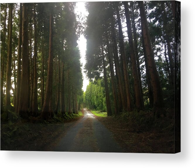 Kelly Hazel Acrylic Print featuring the photograph Path Through the Woods by Kelly Hazel