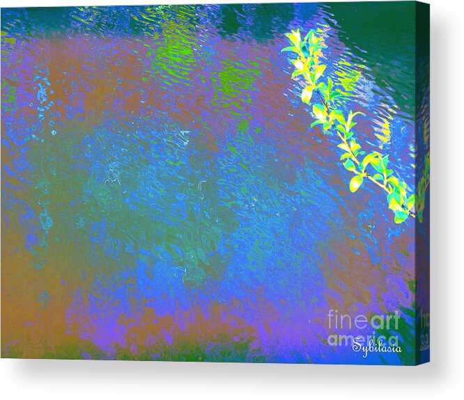 Water Art Acrylic Print featuring the photograph Patient Earth by Sybil Staples