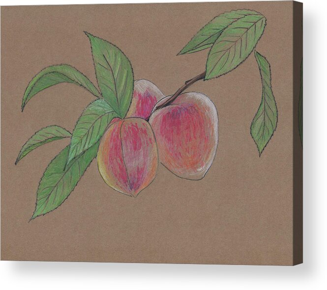 Peach Acrylic Print featuring the painting Peach Branch by Masha Batkova