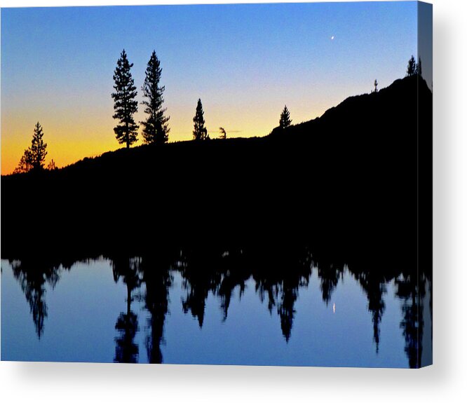 Yosemite National Park Acrylic Print featuring the photograph Phantom Forest by Amelia Racca