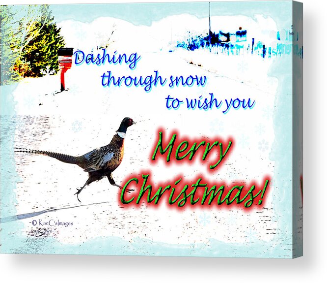 Greeting Card Acrylic Print featuring the digital art Pheasant Greeting by Kae Cheatham