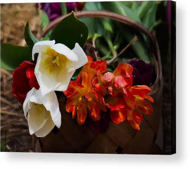 Cindy Archbell Acrylic Print featuring the photograph Pick Me Some Flowers by Cindy Archbell