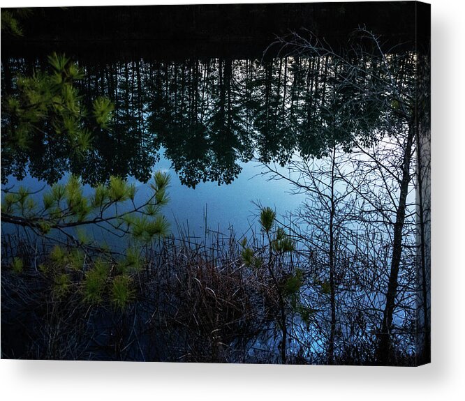  Acrylic Print featuring the photograph Pine Barren Reflections by Louis Dallara