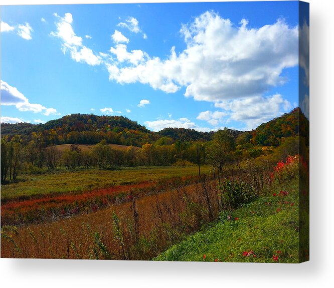 Nature Acrylic Print featuring the photograph Pine Creek Ridge View 3 by Brook Burling