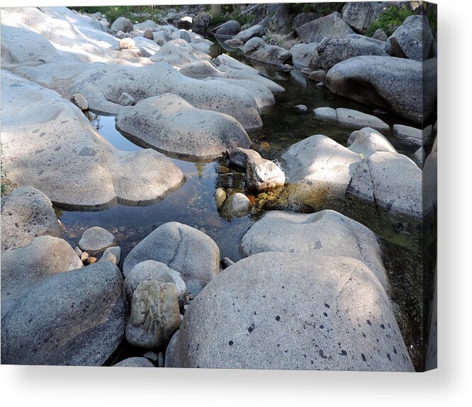 Creek Acrylic Print featuring the photograph Placid Dinkey Creek by Eric Forster