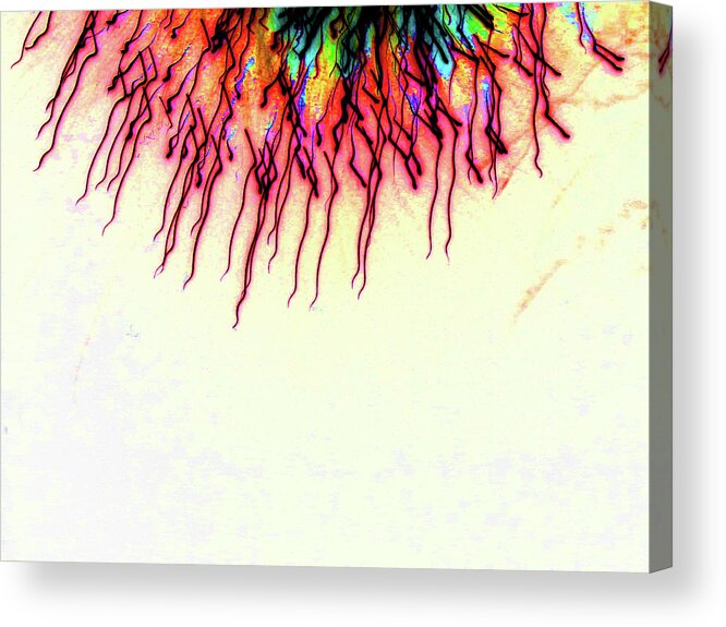 Fireworks Acrylic Print featuring the photograph Playing with Fireworks 29 by Mary Bedy