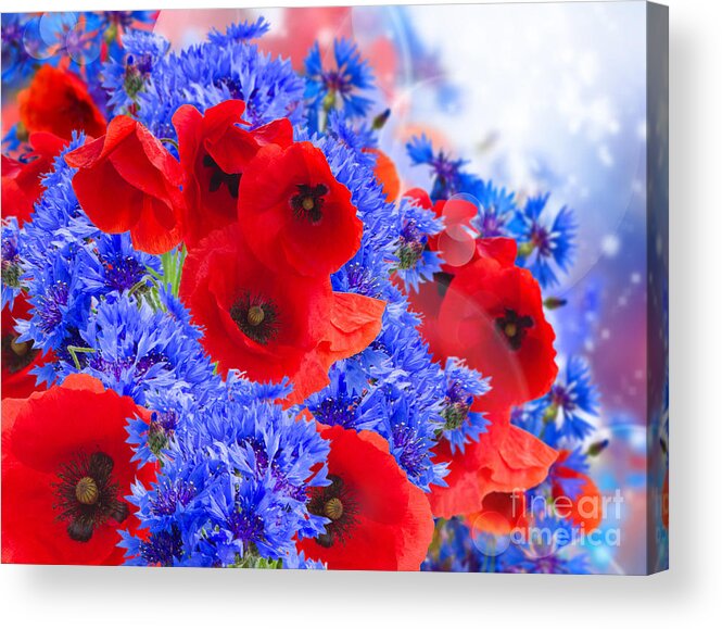 Poppy Acrylic Print featuring the photograph Poppy and Cornflower Flowers by Anastasy Yarmolovich