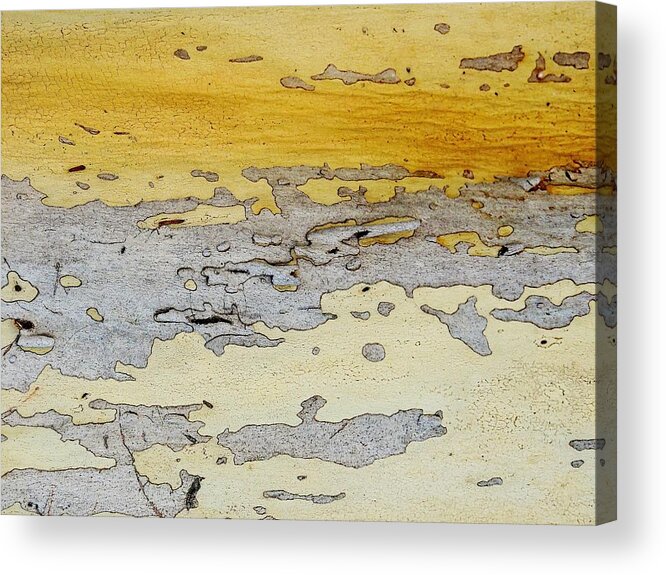 Abstract Acrylic Print featuring the photograph Possum Abstract Landscape 3 by Denise Clark