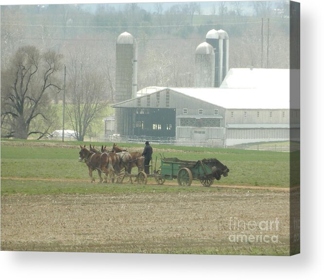 Amish Acrylic Print featuring the photograph Preparing the Field-Two by Christine Clark