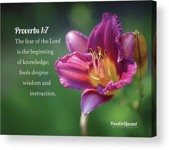 Psalm Acrylic Print featuring the photograph Proverbs One Seven by Hansel Ong