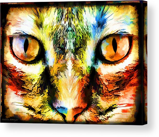 Cat Acrylic Print featuring the digital art Psychedelic Kitty Cat by Melissa Bittinger