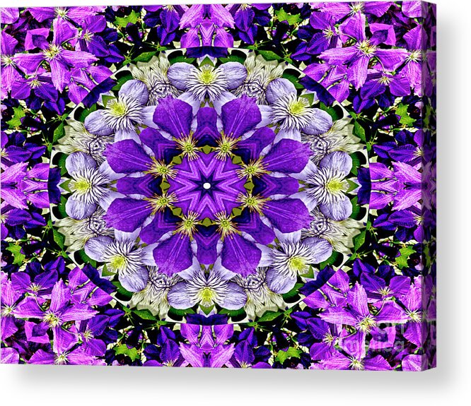 Purple Flower Acrylic Print featuring the photograph Purple Passion Floral Design by Carol F Austin