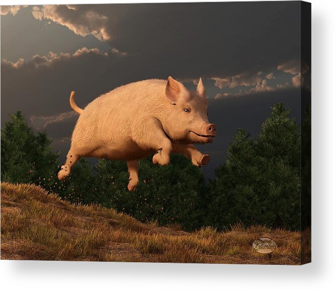 Pig Acrylic Print featuring the digital art Racing Pig by Daniel Eskridge