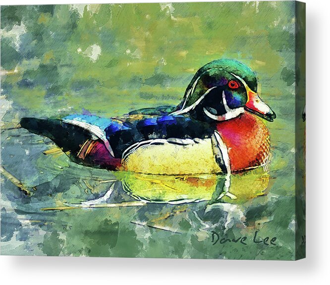 Duck Acrylic Print featuring the mixed media Rainbow Duck by Dave Lee