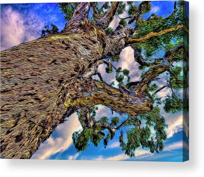 Photography Acrylic Print featuring the photograph Reach Out by Paul Wear