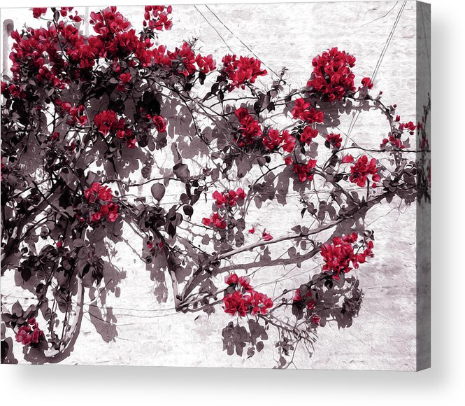 Red Flower Acrylic Print featuring the painting Red Flowers on White Walls by AM FineArtPrints