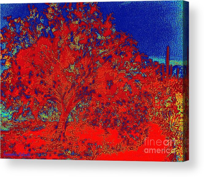 Palo Verde Tree Acrylic Print featuring the painting Red Palo Verdi by Summer Celeste