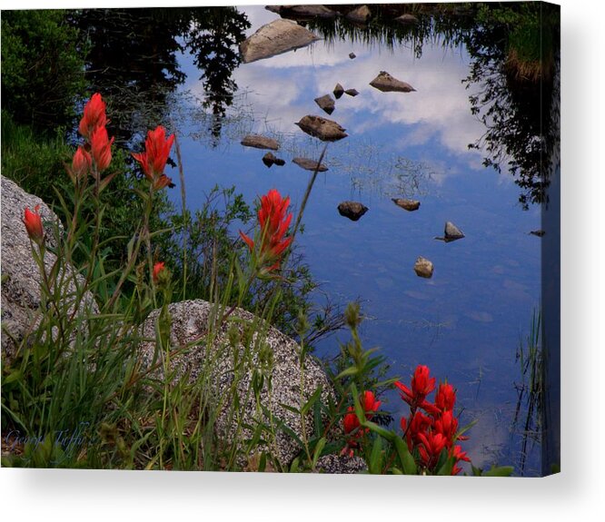 Landscapes F;oers Indian Paintbrush Water Reflections Clouds Colorado Indian Peaks Acrylic Print featuring the photograph Red white and blue by George Tuffy