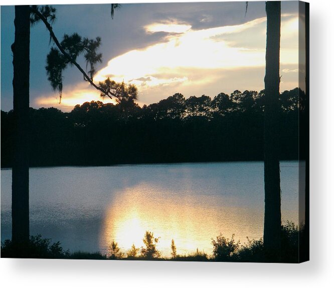 Across The Pond Acrylic Print featuring the photograph Reflection by Nereida Slesarchik Cedeno Wilcoxon