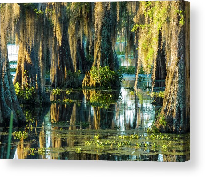 Orcinus Fotograffy Acrylic Print featuring the photograph Reflections Of The Times by Kimo Fernandez